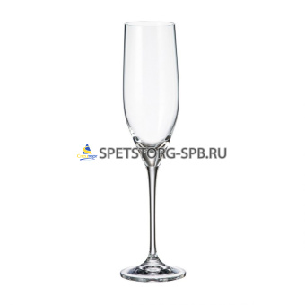 Набор бокалов 6пр. для шампанского SITTA/STELLA 240мл     (1)     38045