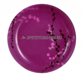 Тарелка суповая 20см  KASHIMA FUSHIA     (12)     J0737/G9320