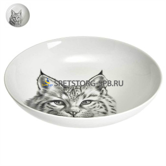 Тарелка глубокая 205мм 700мл ф.707 "универсал" РЫСЬ    (20)     0С2134Ф34