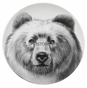 Тарелка мелкая 200мм ф.707 "универсал" МЕДВЕДЬ     (20)     0С2144Ф34